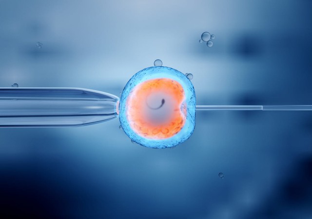 Trẻ sinh ra từ phương pháp IVF có nguy cơ mắc các bệnh về tim cao hơn?- Ảnh 1.