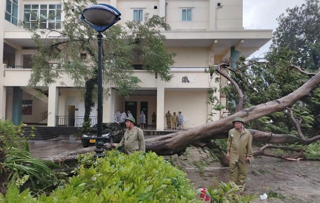 Chống siêu bão Yagi ở Bạch Mai- Ảnh 4.