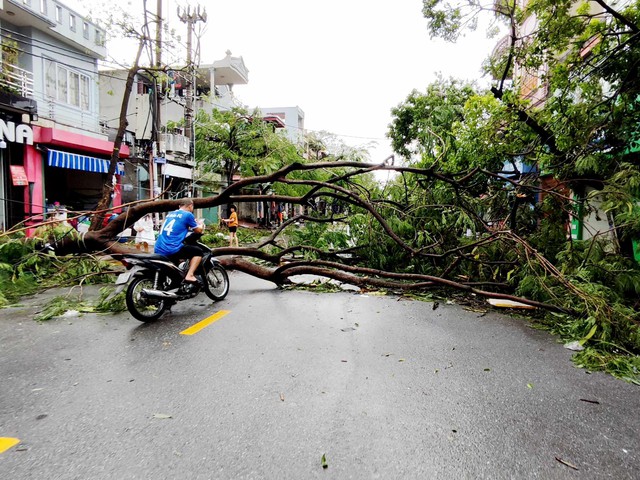 Những hình ảnh mới nhất về Hải Phòng chiều nay 8/9- Ảnh 5.