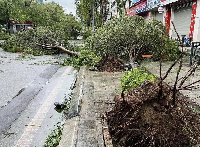 Gần 200 người thương vong do bão số 3- Ảnh 3.