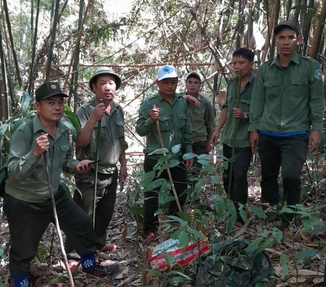 Bảo vệ động vật quý hiếm ở Kon Tum dịp Tết- Ảnh 1.