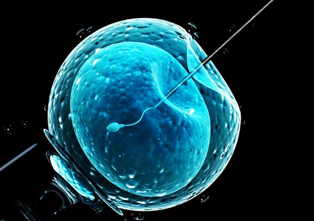 Sử dụng AI có thể giúp tăng tỷ lệ thành công của IVF- Ảnh 1.