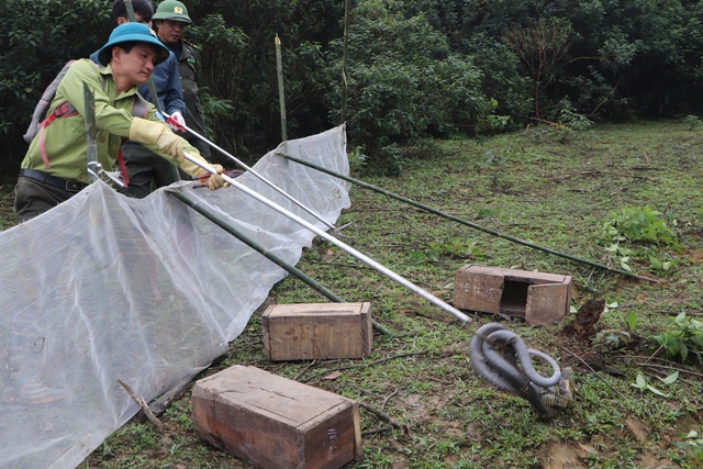 Thả 90 cá thể động vật hoang dã về với tự nhiên- Ảnh 9.