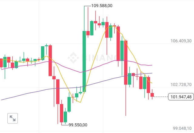 Giá Bitcoin ngày 21/1 giảm vì Tổng thống Donal Trump không nhắc đến tiền số- Ảnh 1.