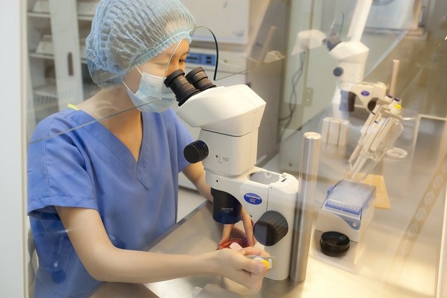 Những chính sách nổi bật có hiệu lực từ tháng 10/2025: Phụ nữ độc thân được quyền sinh con bằng IVF- Ảnh 1.