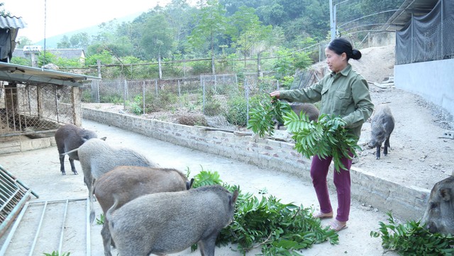 Phú Thọ tăng cường an sinh xã hội: 100% hộ nghèo, hộ cận nghèo được hỗ trợ tham gia bảo hiểm y tế- Ảnh 2. Phú Thọ tăng cường an sinh xã hội: 100% hộ nghèo, hộ cận nghèo được hỗ trợ tham gia bảo hiểm y tế- Ảnh 2.