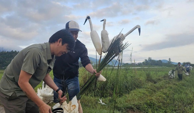 Mật phục, bắt quả tang 2 người đàn ông bẫy bắt chim hoang dã ở Huế- Ảnh 4. Mật phục, bắt quả tang 2 người đàn ông bẫy bắt chim hoang dã ở Huế- Ảnh 4.