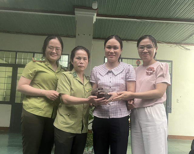 Người dân bất ngờ phát hiện động vật quý hiếm nhóm IB trên mái nhà- Ảnh 2. Người dân bất ngờ phát hiện động vật quý hiếm nhóm IB trên mái nhà- Ảnh 2.