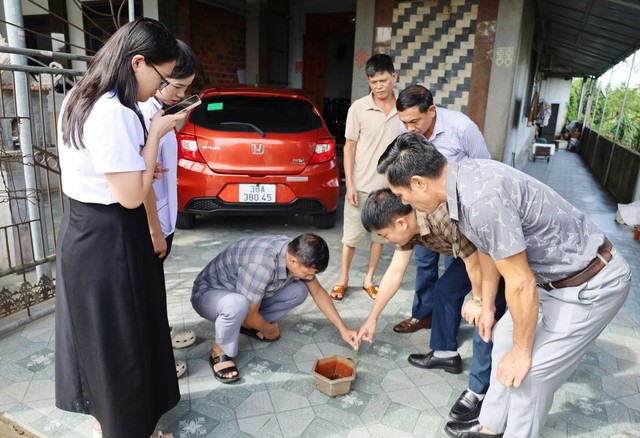 Hà Tĩnh ghi nhận ổ dịch sốt xuất huyết Dengue- Ảnh 2. Hà Tĩnh ghi nhận ổ dịch sốt xuất huyết Dengue- Ảnh 2.