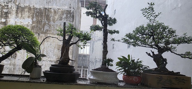 Bầu trời Hà Nội vàng rực kỳ lạ, xuất hiện cầu vồng từ sáng sớm- Ảnh 7. Bầu trời Hà Nội vàng rực kỳ lạ, xuất hiện cầu vồng từ sáng sớm- Ảnh 7.