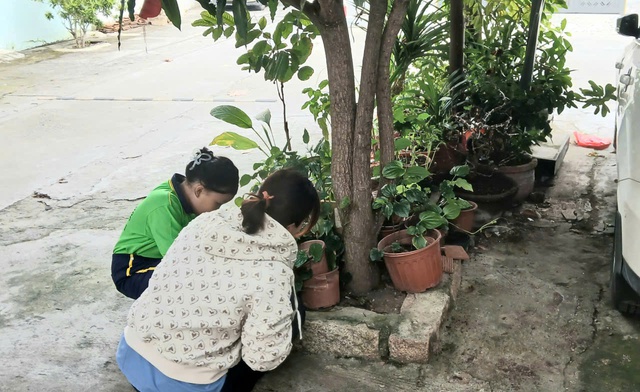 Khánh Hòa ghi nhận 6.392 ca mắc sốt xuất huyết, 2 trường hợp tử vong trong 9 tháng - Ảnh 2. Khánh Hòa ghi nhận 6.392 ca mắc sốt xuất huyết, 2 trường hợp tử vong trong 9 tháng - Ảnh 2.