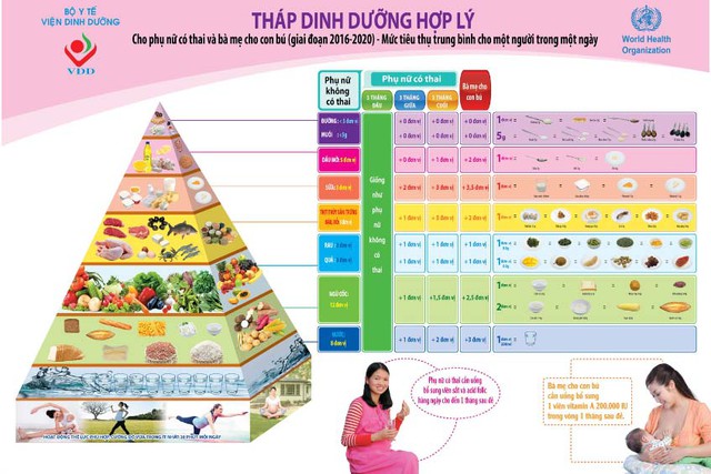 Dinh dưỡng 1.000 ngày đầu đời – “Giai đoạn vàng” quyết định chiều cao, trí tuệ của trẻ- Ảnh 1.