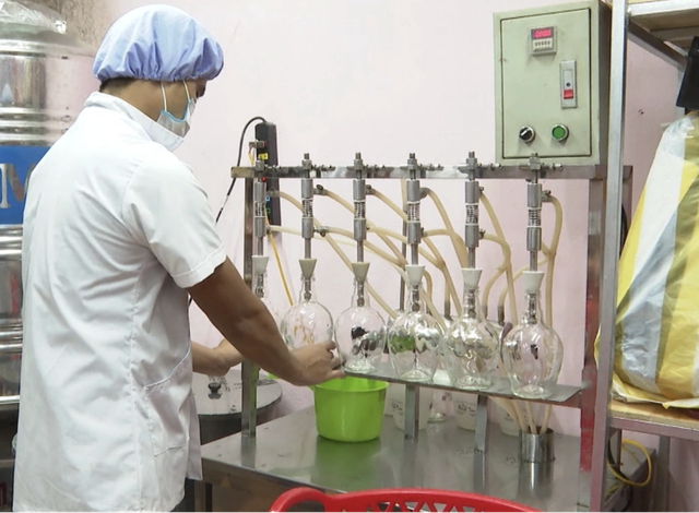 Đẩy mạnh chuỗi vùng trồng-sản xuất, tạo giá trị cho cây thuốc Việt- Ảnh 2. Đẩy mạnh chuỗi vùng trồng-sản xuất, tạo giá trị cho cây thuốc Việt- Ảnh 2.