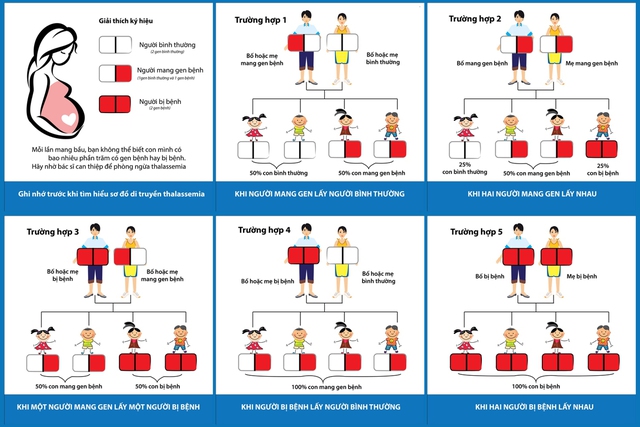 Bệnh di truyền tan máu bẩm sinh: Ai cần xét nghiệm?- Ảnh 2. Bệnh di truyền tan máu bẩm sinh: Ai cần xét nghiệm?- Ảnh 2.