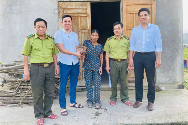 Cá thể rùa quý hiếm trong Sách đỏ bò vào vườn nhà dân- Ảnh 1. Cá thể rùa quý hiếm trong Sách đỏ bò vào vườn nhà dân- Ảnh 1.