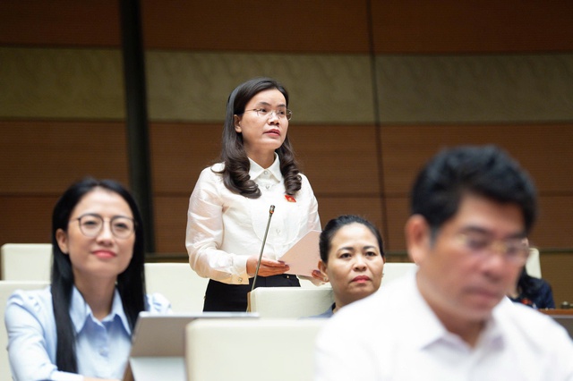 Nhiều góp ý về hoạt động giám sát của Tổ đại biểu HĐND đi vào thực tiễn, hiệu quả- Ảnh 3. Nhiều góp ý về hoạt động giám sát của Tổ đại biểu HĐND đi vào thực tiễn, hiệu quả- Ảnh 3.