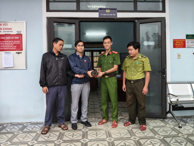 Người dân Huế liên tiếp giao nộp rùa quý hiếm- Ảnh 1. Người dân Huế liên tiếp giao nộp rùa quý hiếm- Ảnh 1.