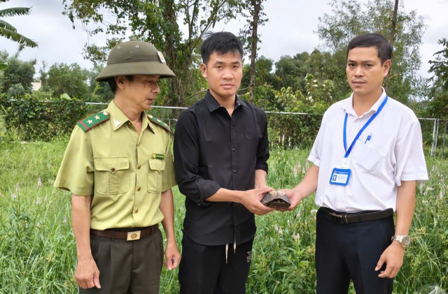 Người dân Huế liên tiếp giao nộp rùa quý hiếm- Ảnh 2. Người dân Huế liên tiếp giao nộp rùa quý hiếm- Ảnh 2.