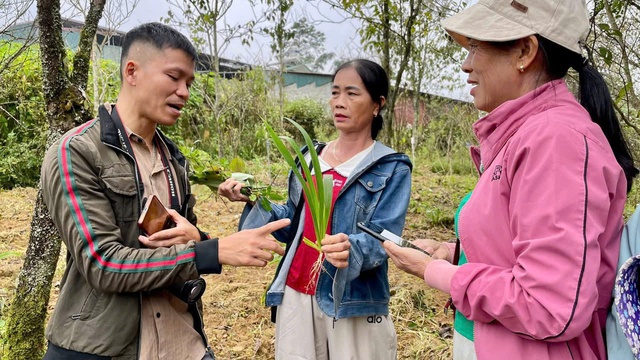 Nâng cao giá trị dược liệu Việt: Sinh kế bền vững cho bà con đồng bào dân tộc thiểu số và miền núi- Ảnh 2. Nâng cao giá trị dược liệu Việt: Sinh kế bền vững cho bà con đồng bào dân tộc thiểu số và miền núi- Ảnh 2.