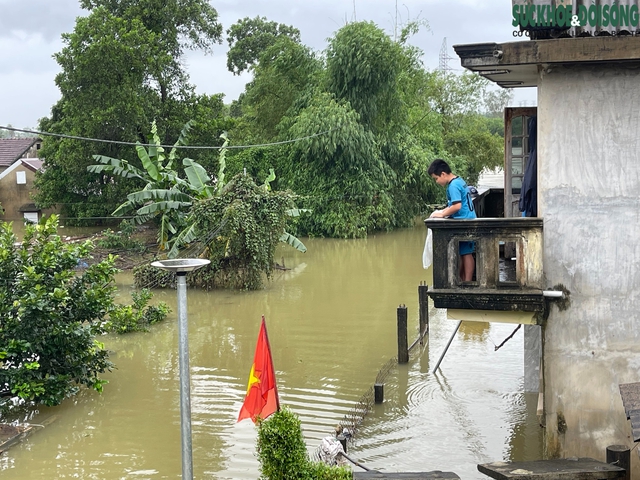 Người dân lên gác mái chật hẹp sinh hoạt chờ lũ rút- Ảnh 12.