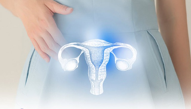 Phụ nữ trẻ và nguy cơ vô sinh vì suy buồng trứng sớm- Ảnh 1.