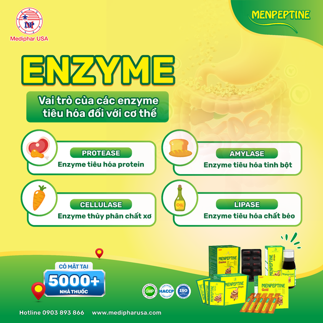 Men vi sinh và men tiêu hóa: Phân biệt đúng để sử dụng hiệu quả- Ảnh 1. Men vi sinh và men tiêu hóa: Phân biệt đúng để sử dụng hiệu quả- Ảnh 1.
