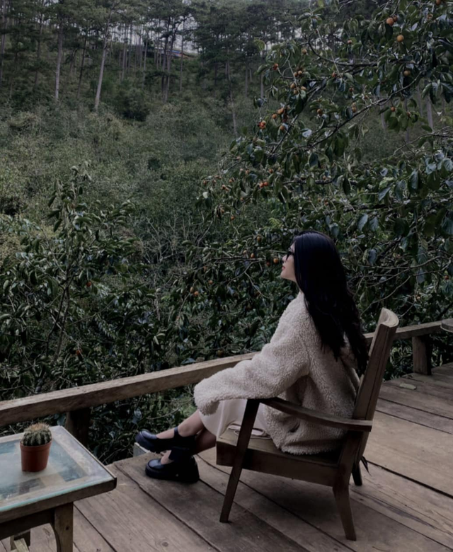 Câu chuyện phía sau biệt danh Vy ghiền Đà Lạt – khi tình yêu với phố núi trở thành dấu ấn cá nhân- Ảnh 4. Câu chuyện phía sau biệt danh Vy ghiền Đà Lạt – khi tình yêu với phố núi trở thành dấu ấn cá nhân- Ảnh 4.