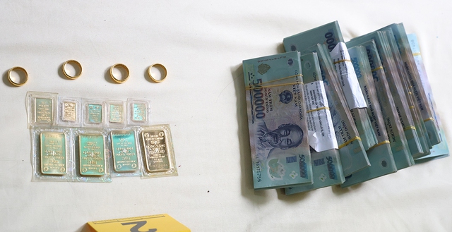 Giúp việc cho cô chồng, cháu dâu lén lấy trộm 2 tỷ đồng - Ảnh 1.