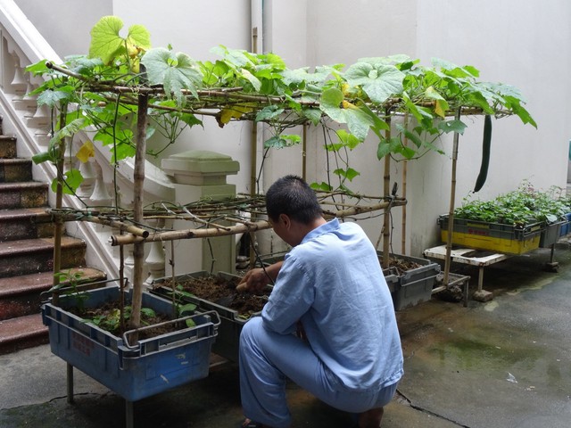 Rối loạn mất ngủ và cách điều trị không dùng thuốc: Hướng đi an toàn cho giấc ngủ khỏe mạnh- Ảnh 1.