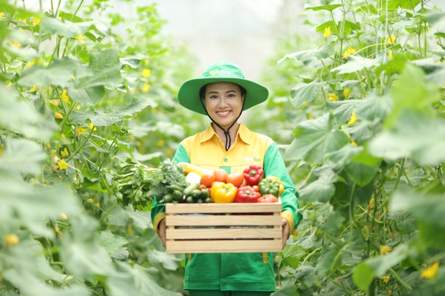 Hành trình rau sạch WinEco: Từ nông trường đến bàn ăn Việt- Ảnh 1.