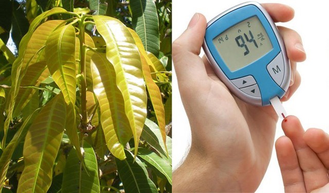 Cách kiểm soát bệnh tiểu đường: Tránh xa 6 sai lầm phổ biến!- Ảnh 2. Cách kiểm soát bệnh tiểu đường: Tránh xa 6 sai lầm phổ biến!- Ảnh 2.