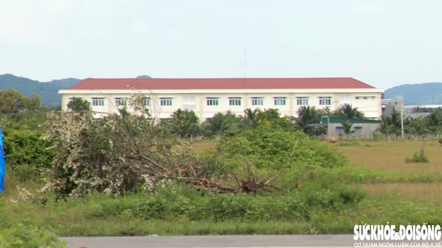 Trường hơn 14 tỷ xây xong rồi… bỏ hoang- Ảnh 2. Trường hơn 14 tỷ xây xong rồi… bỏ hoang- Ảnh 2.