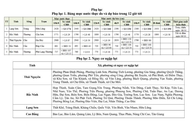 Lại thêm một con sông có mực nước cao vượt mức lịch sử- Ảnh 3.