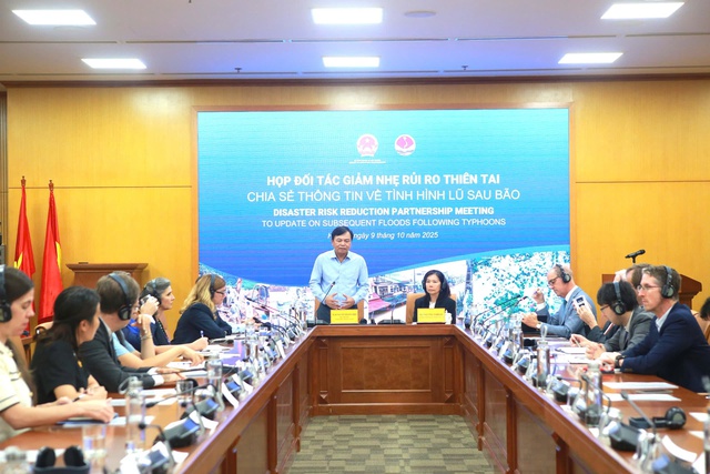 Mưa ngập, riêng tiền sửa xe ô tô tốn hàng chục nghìn tỷ đồng- Ảnh 3. Mưa ngập, riêng tiền sửa xe ô tô tốn hàng chục nghìn tỷ đồng- Ảnh 3.