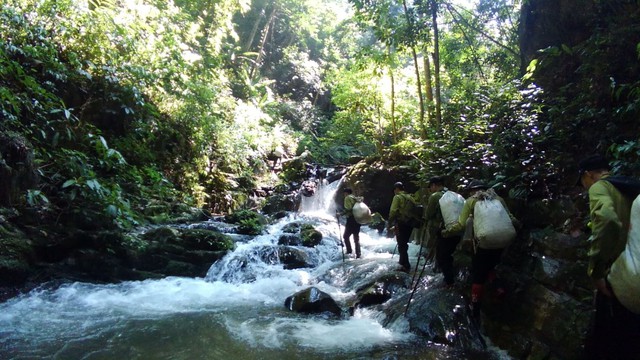 Dấu chân 'thép' của những chiến sĩ bảo vệ rừng Pù Mát giữa đại ngàn- Ảnh 3.