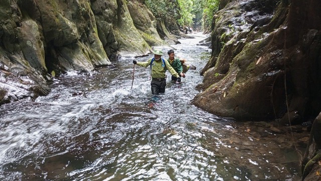 Dấu chân 'thép' của những chiến sĩ bảo vệ rừng Pù Mát giữa đại ngàn- Ảnh 8.