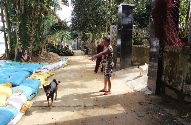 Sạt lở đe dọa ‘nuốt’ nhà dân, hàng trăm hộ ven sông thấp thỏm lo sợ- Ảnh 4.