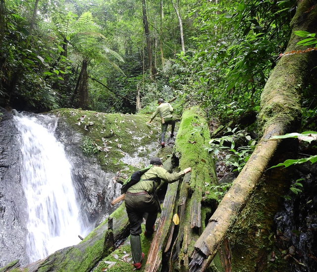 Dấu chân 'thép' của những chiến sĩ bảo vệ rừng Pù Mát giữa đại ngàn- Ảnh 4.
