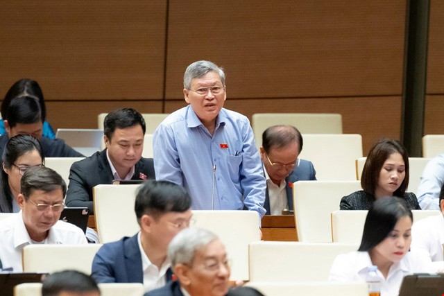 ĐBQH đề nghị phụ nữ sinh đủ 2 con, không giới hạn độ tuổi đều được hưởng chính sách dân số- Ảnh 2.