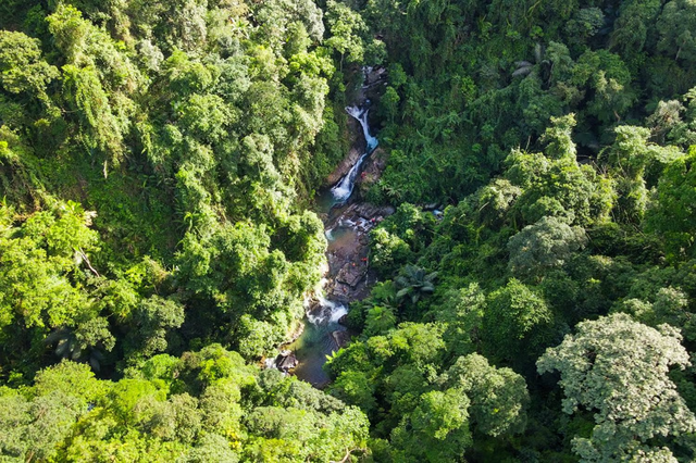 Quảng Trị đầu tư tiền tỷ hỗ trợ phục hồi động vật hoang dã- Ảnh 1.