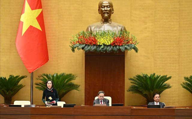 ĐBQH đề nghị phụ nữ sinh đủ 2 con, không giới hạn độ tuổi đều được hưởng chính sách dân số- Ảnh 1.