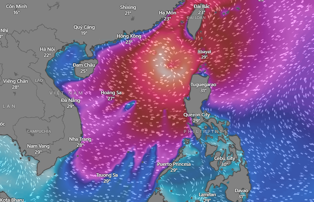 Bão số 14 gây sóng cao 9 mét, Bộ Xây dựng yêu cầu kiểm đếm tàu thuyền, không để mất liên lạc- Ảnh 2.