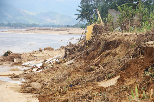 Lũ lịch sử xóa sổ nhiều cánh đồng xanh, để lại những mảnh ruộng hoang tàn- Ảnh 12. Lũ lịch sử xóa sổ nhiều cánh đồng xanh, để lại những mảnh ruộng hoang tàn- Ảnh 12.