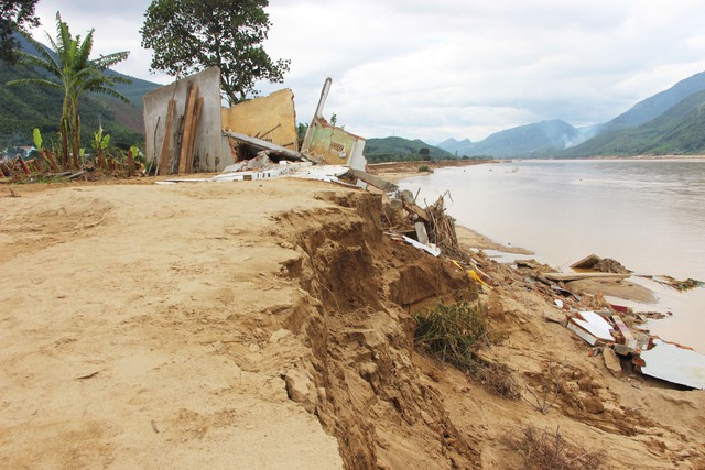 Lũ lịch sử xóa sổ nhiều cánh đồng xanh, để lại những mảnh ruộng hoang tàn- Ảnh 13. Lũ lịch sử xóa sổ nhiều cánh đồng xanh, để lại những mảnh ruộng hoang tàn- Ảnh 13.