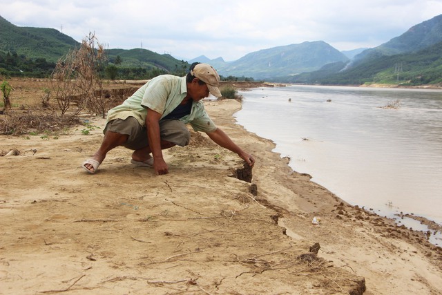 Lũ lịch sử xóa sổ nhiều cánh đồng xanh, để lại những mảnh ruộng hoang tàn- Ảnh 6. Lũ lịch sử xóa sổ nhiều cánh đồng xanh, để lại những mảnh ruộng hoang tàn- Ảnh 6.