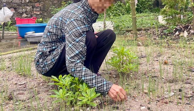 Vượt mặc cảm của 'căn bệnh thế kỷ' để đồng hành với những mảnh đời mang "H"- Ảnh 2. Vượt mặc cảm của 'căn bệnh thế kỷ' để đồng hành với những mảnh đời mang "H"- Ảnh 2.