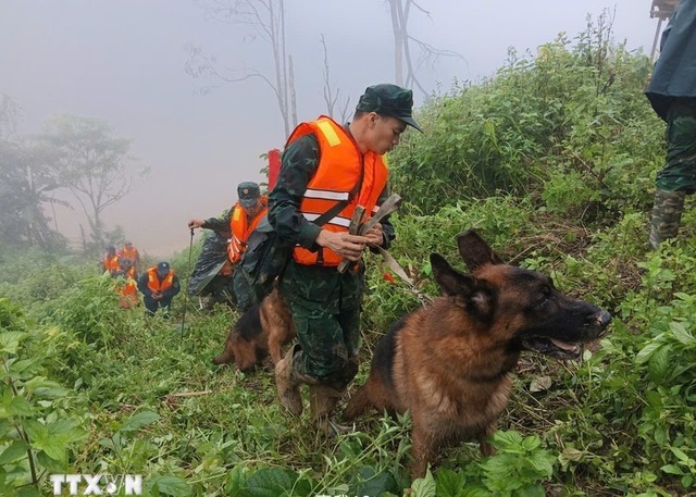 Đà Nẵng: Sử dụng chó nghiệp vụ tìm kiếm nạn nhân vụ sạt lở đất ở Hùng Sơn- Ảnh 1. Đà Nẵng: Sử dụng chó nghiệp vụ tìm kiếm nạn nhân vụ sạt lở đất ở Hùng Sơn- Ảnh 1.