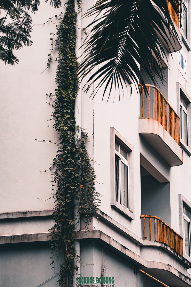 Hà Nội: Cận cảnh khu nhà tái định cư hoang tàn sau hơn 10 năm hoàn thành- Ảnh 3. Hà Nội: Cận cảnh khu nhà tái định cư hoang tàn sau hơn 10 năm hoàn thành- Ảnh 3.