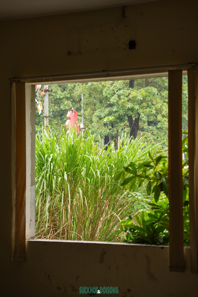 Hà Nội: Cận cảnh khu nhà tái định cư hoang tàn sau hơn 10 năm hoàn thành- Ảnh 8. Hà Nội: Cận cảnh khu nhà tái định cư hoang tàn sau hơn 10 năm hoàn thành- Ảnh 8.