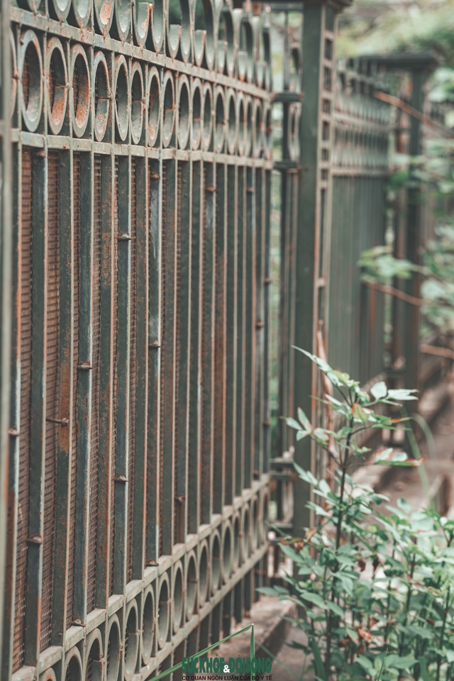 Hà Nội: Cận cảnh khu nhà tái định cư hoang tàn sau hơn 10 năm hoàn thành- Ảnh 9. Hà Nội: Cận cảnh khu nhà tái định cư hoang tàn sau hơn 10 năm hoàn thành- Ảnh 9.